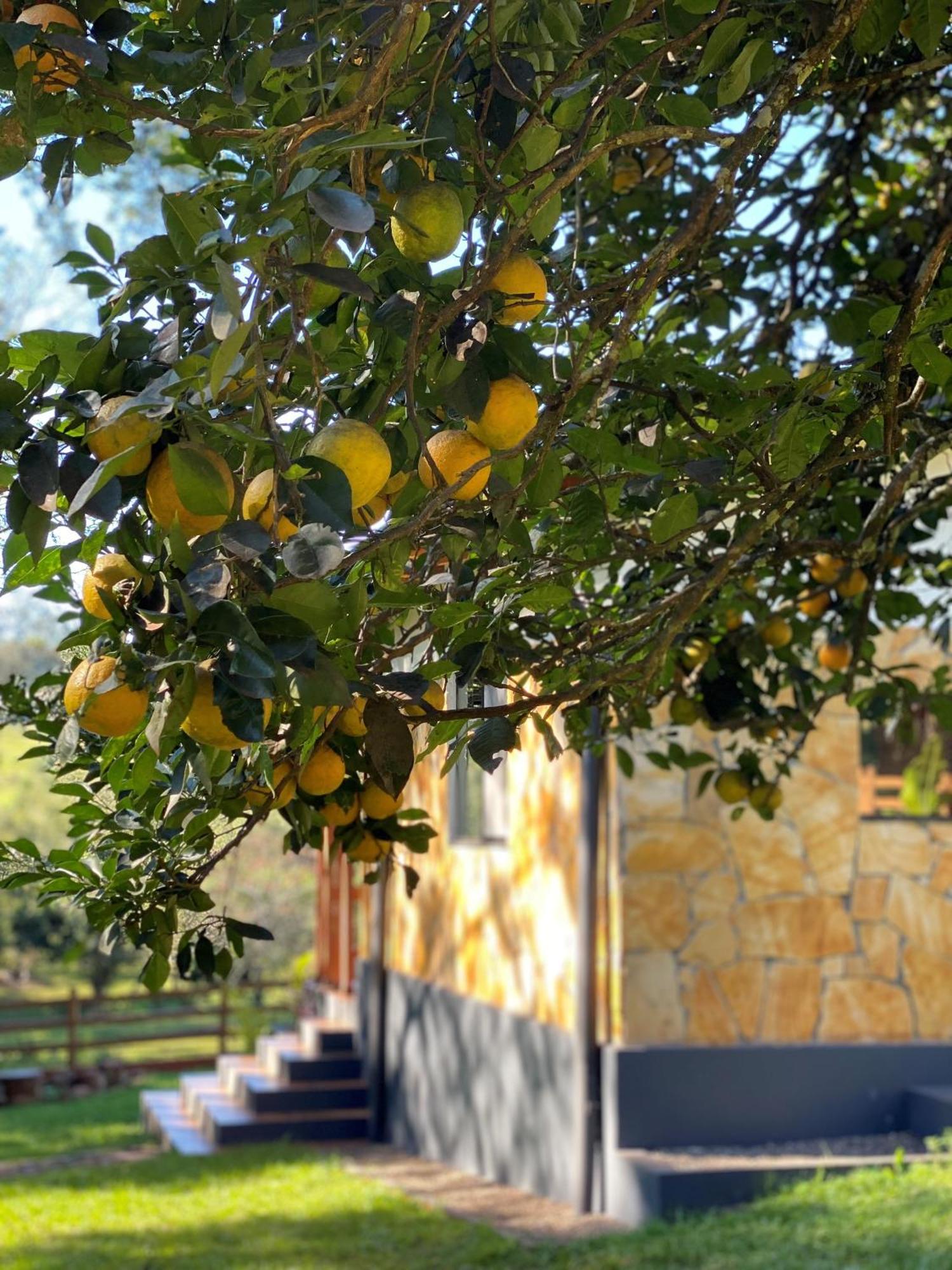Casa De Campo Fichtelberger Hohenau Kültér fotó